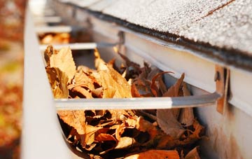Lutton gutter cleaning companies