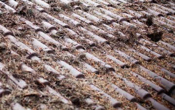 Lutton roof cleaning companies