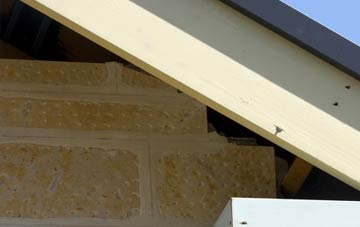 soffit repair Lutton